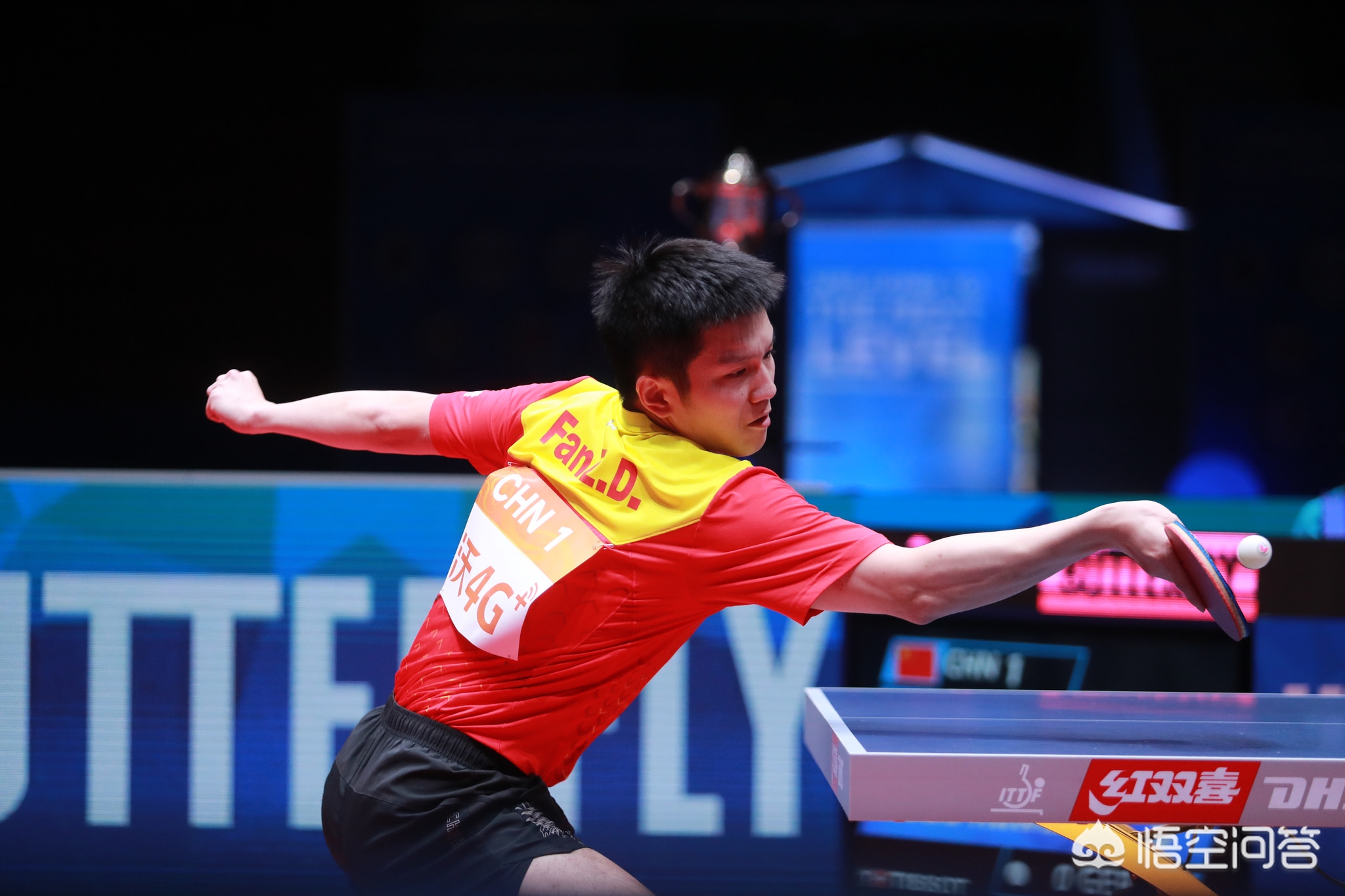 的多面性 的多面性